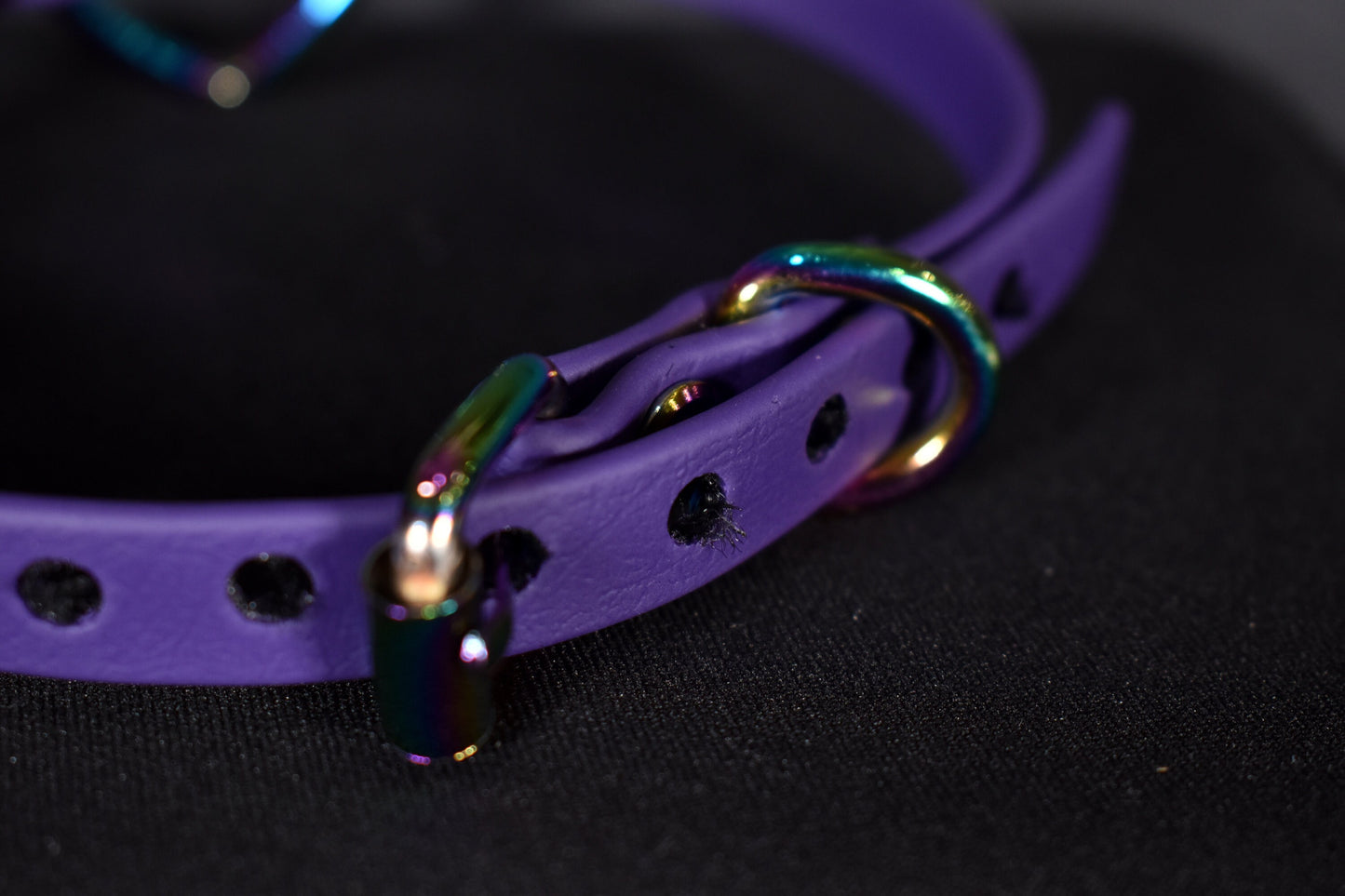 Biothane Rainbow Purple Heart Choker