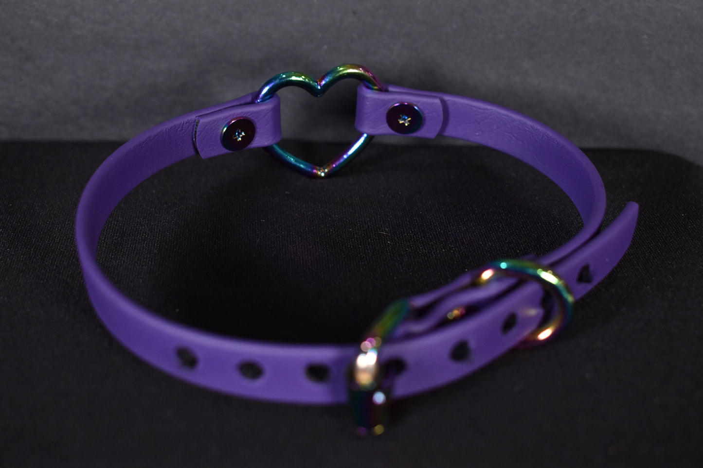 Biothane Rainbow Purple Heart Choker
