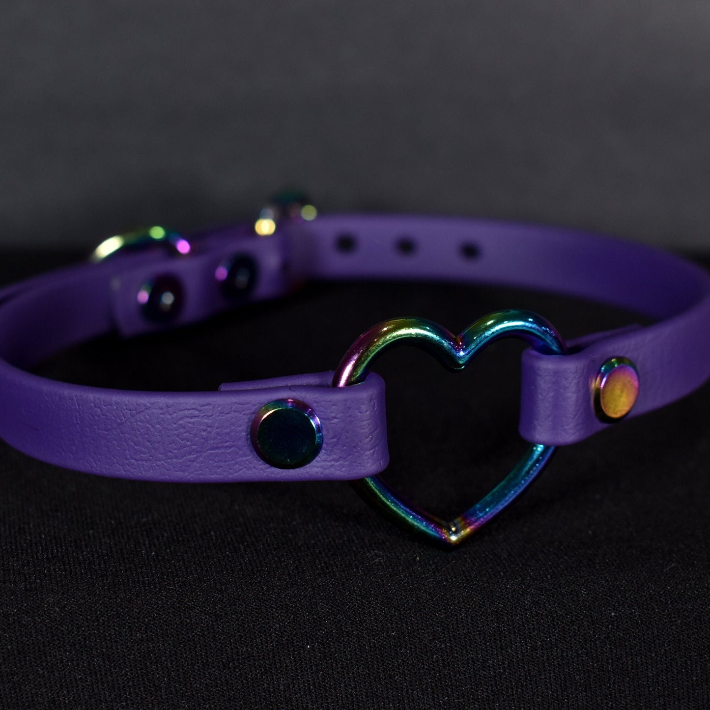 Biothane Rainbow Purple Heart Choker