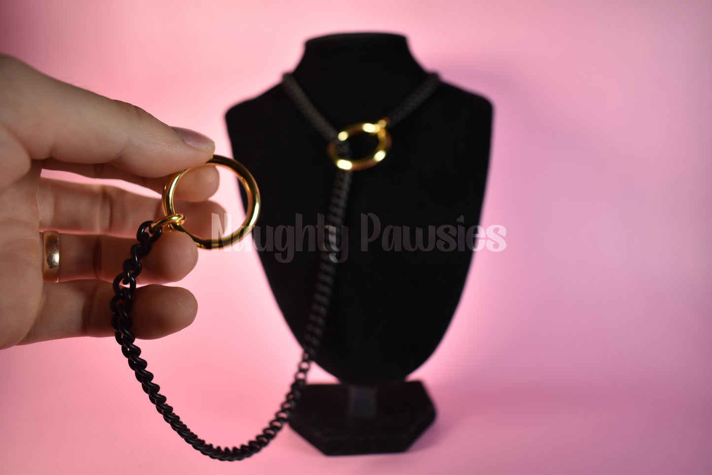 Black Matte Gold Circle Slip Chain (Gold O-Ring)