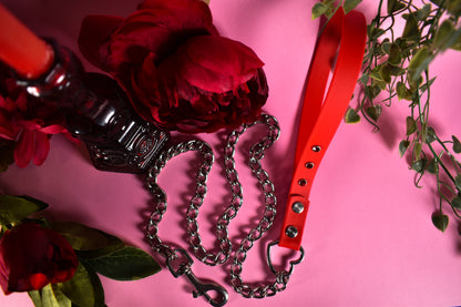Biothane chain Leash - Red - Valentine's collection 2006