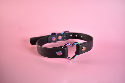 Biothane Rainbow Heart Choker