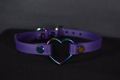 Biothane Rainbow Purple Heart Choker