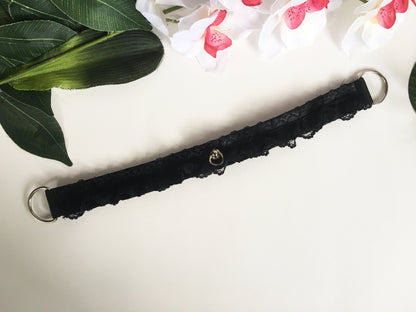 Black Kitten Play Choker