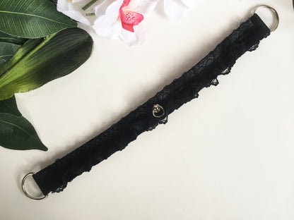 Black Kitten Play Choker