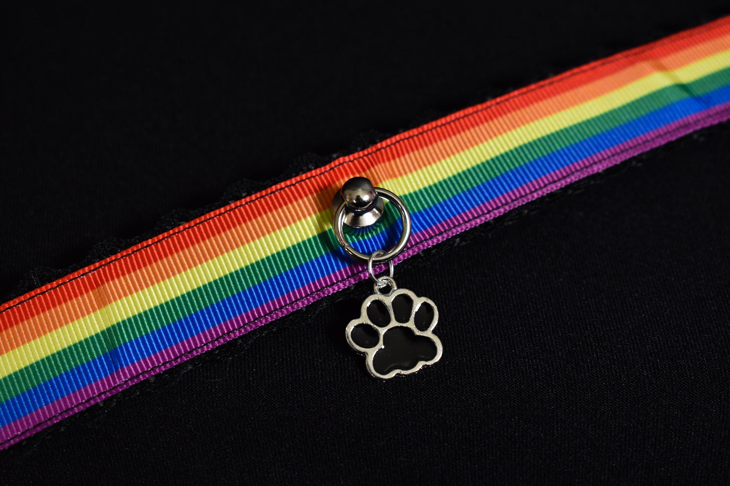 Pride Collection - Rainbow paw / Made to your size